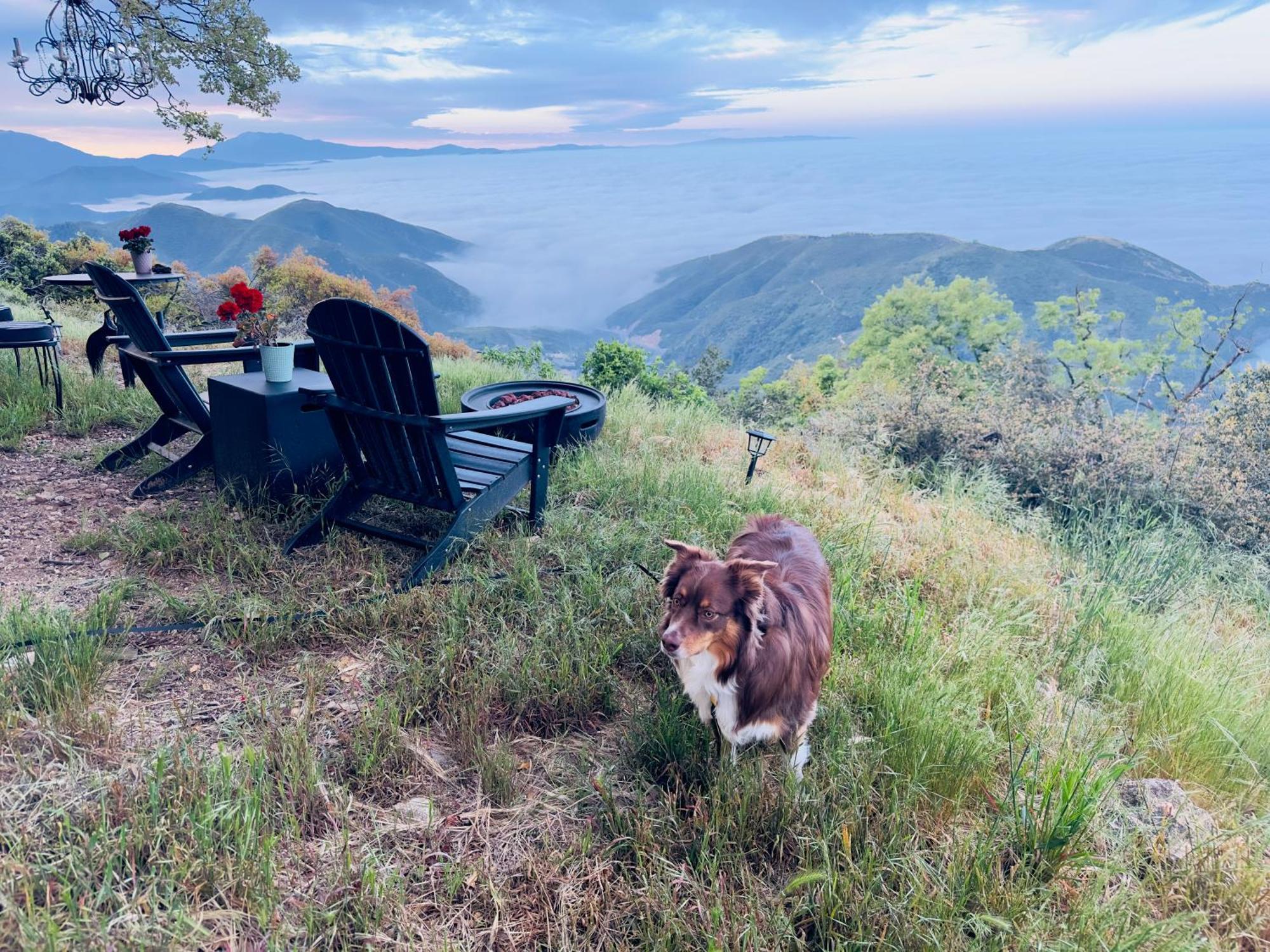 100 Mile View-Fire Pit, Romantic, Peaceful, Private Crestline Exterior photo